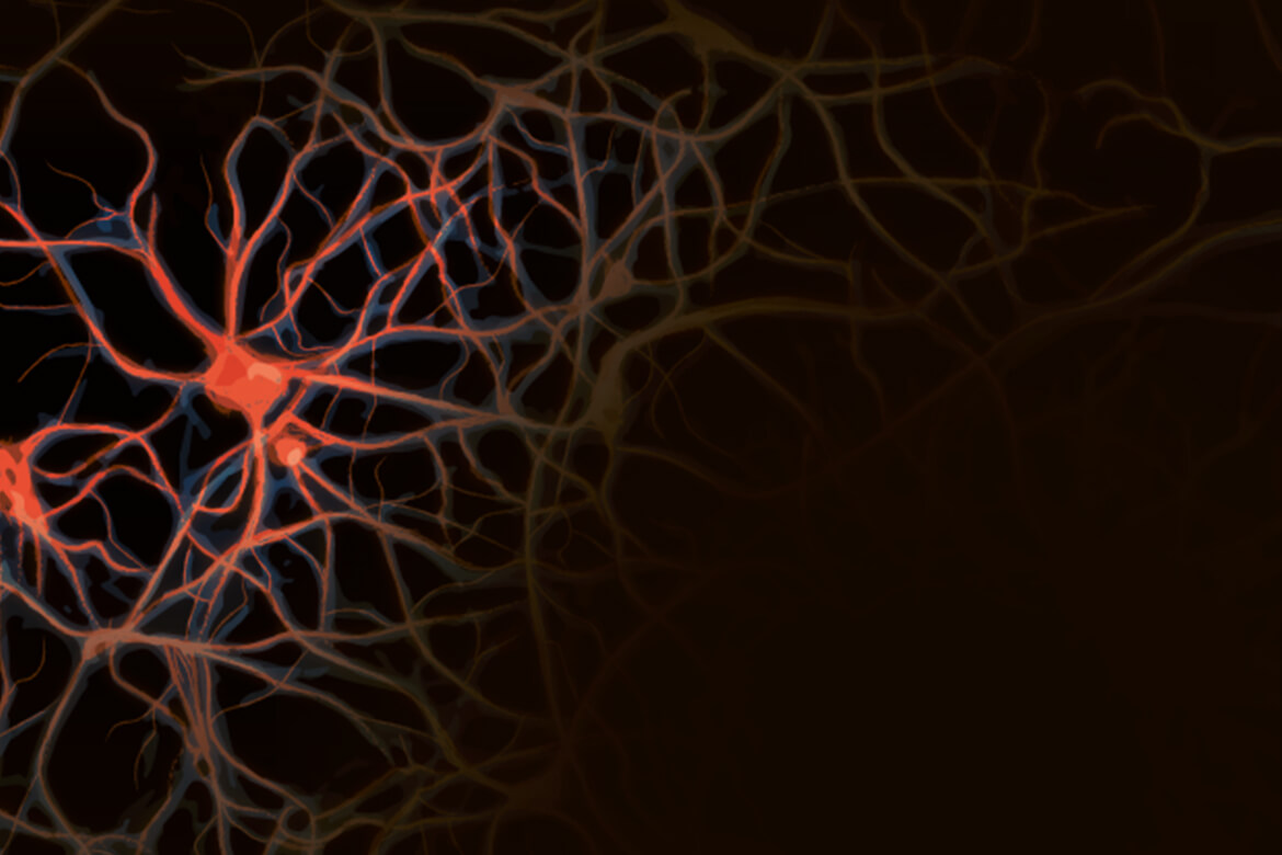 Illustration: ikonaut