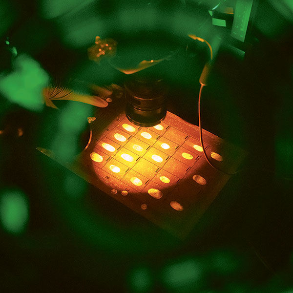 In der Dunkelkammer des Labors der Kriminalwissenschaften an der Universität leuchten Fingerspuren .